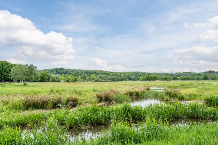 Foto 48 van Langstraat 80