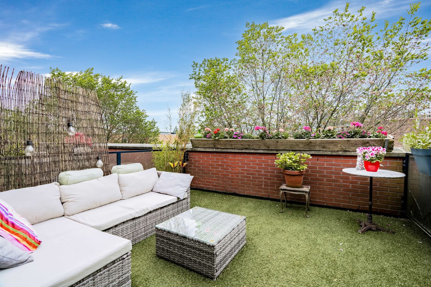 Photo 34 of Waterloop 550