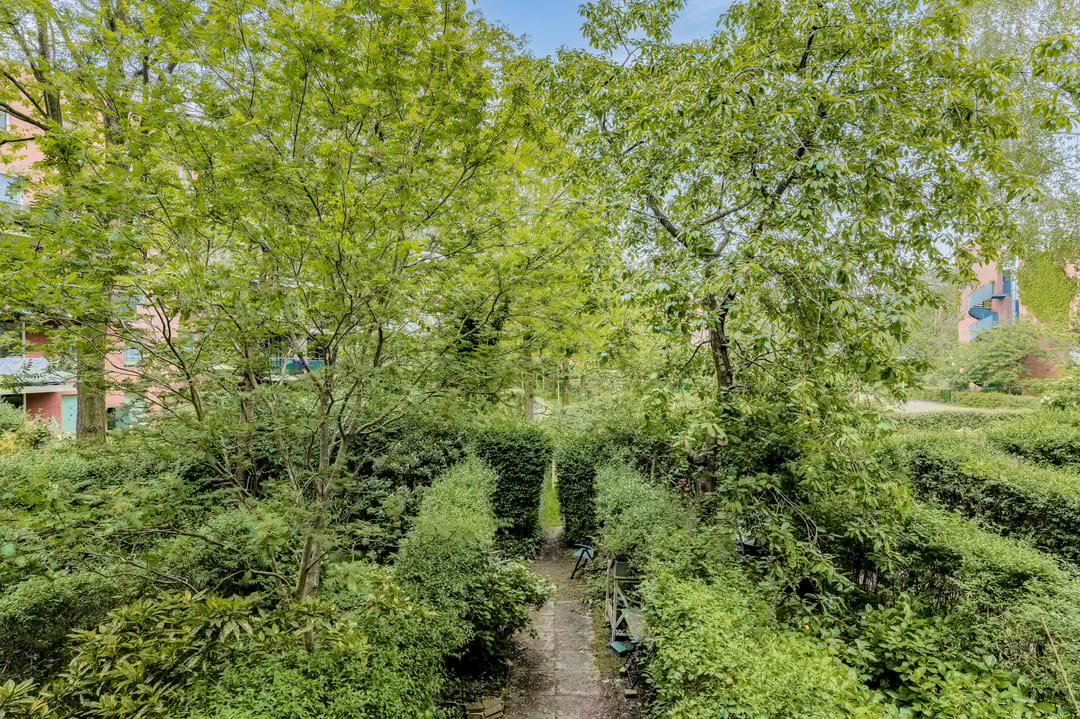 Photo 43 of Waterloop 550