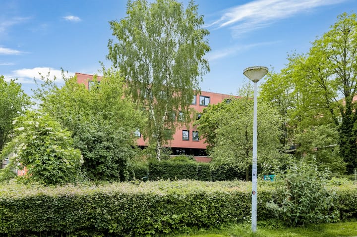 Foto 45 van Waterloop 550