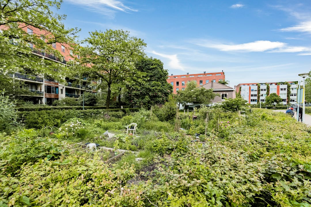 Photo 46 of Waterloop 550