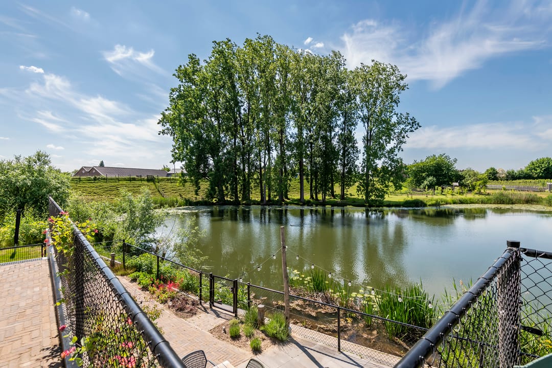 Foto 7 van Rijnbandijk 52