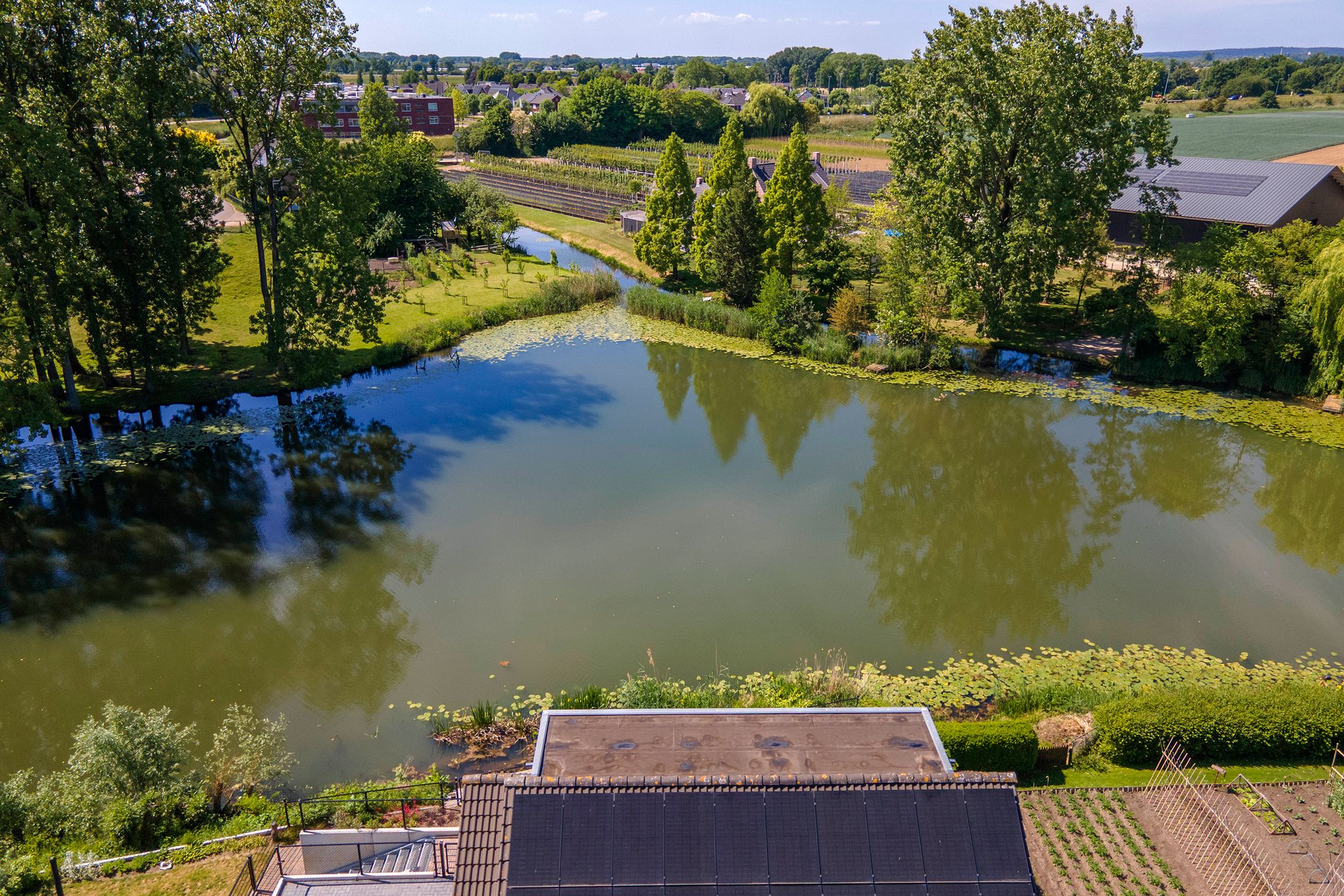 Foto 81 van Rijnbandijk 52