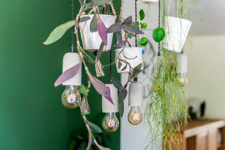 Foto 15 van Prinses Amaliastraat 2