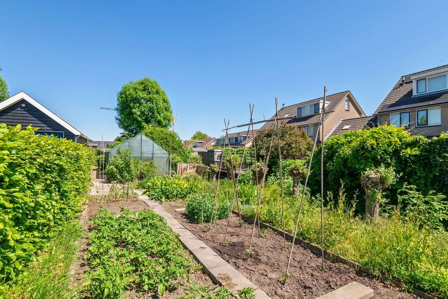 Foto 64 van Prinses Amaliastraat 2