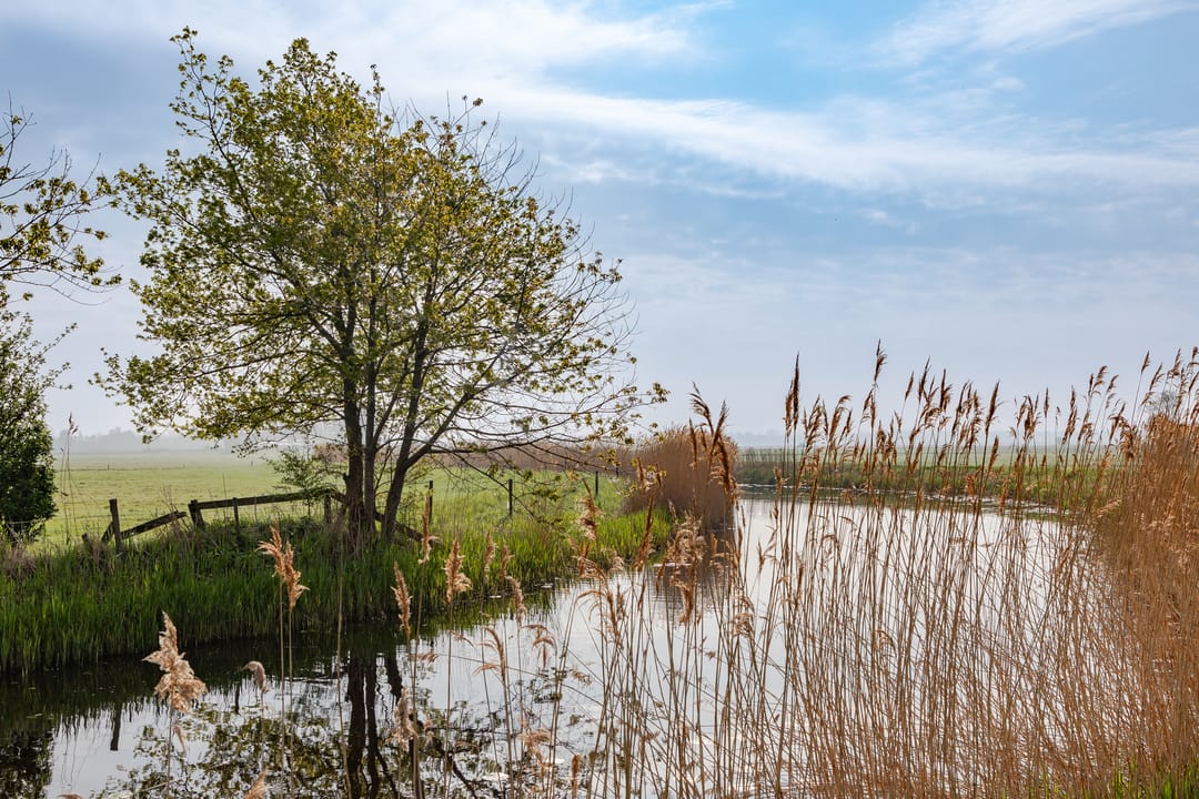 Photo 28 of Groeneweg 3