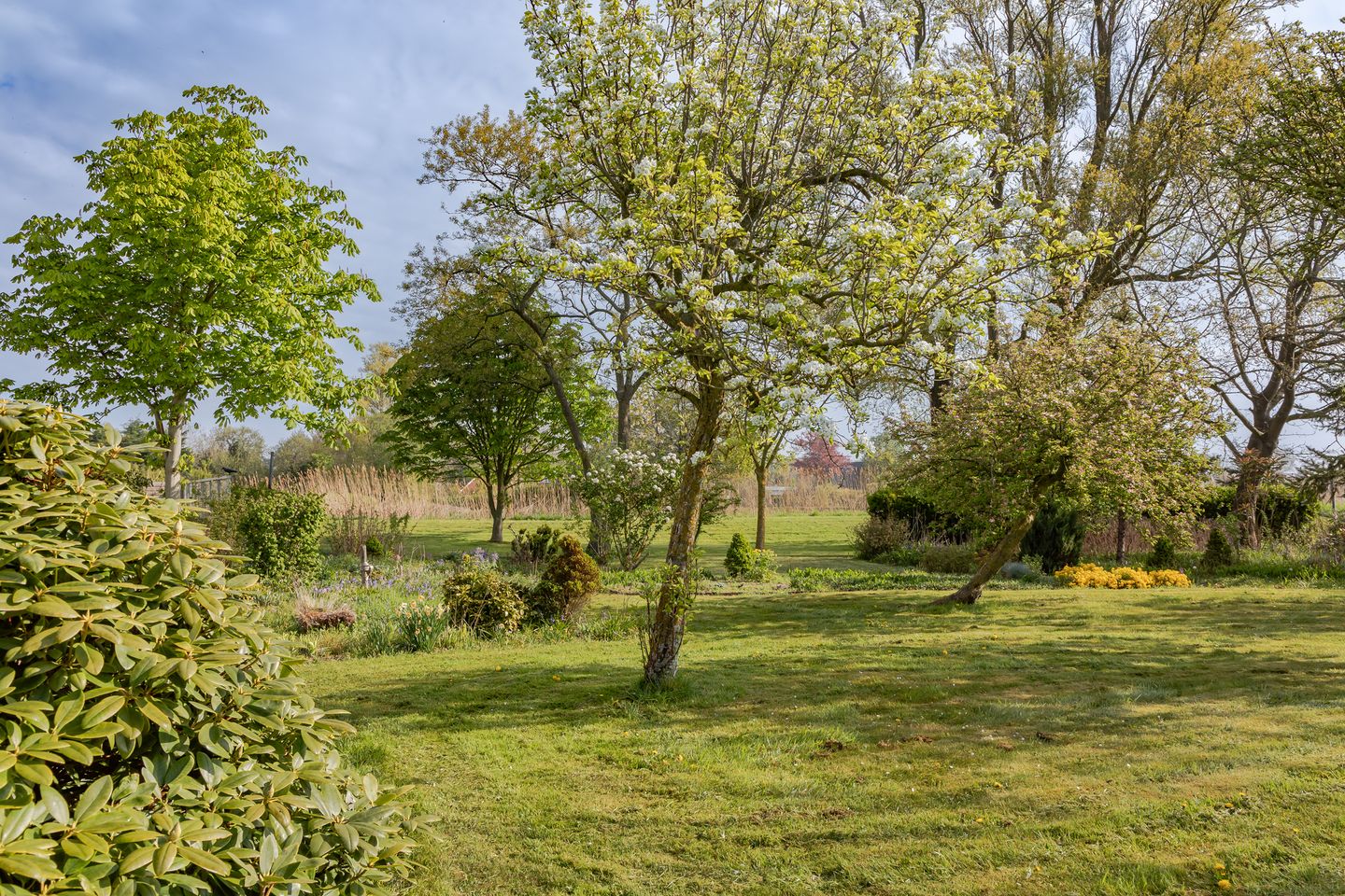 Photo 29 of Groeneweg 3