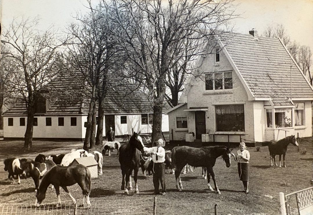 Photo 37 of Groeneweg 3