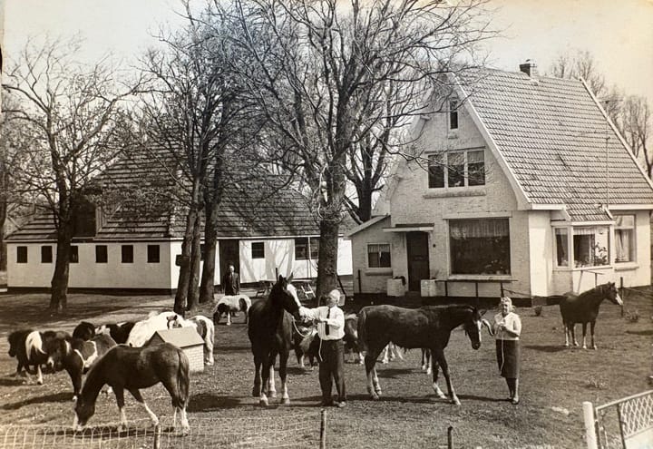 Foto 37 van Groeneweg 3