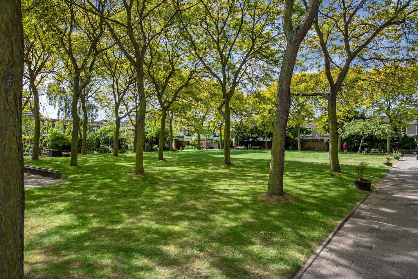 Photo 64 of Van Gaalenlaan 4