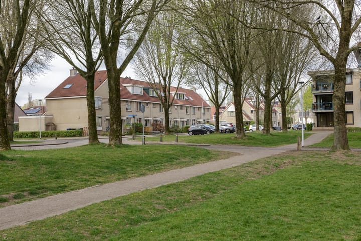 Foto 42 van Meercamp 51