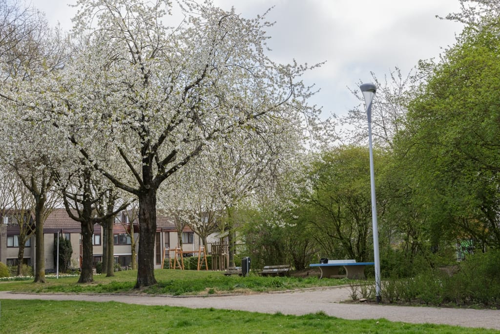 Foto 43 van Meercamp 51