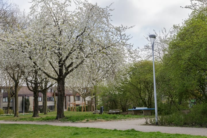 Foto 43 van Meercamp 51