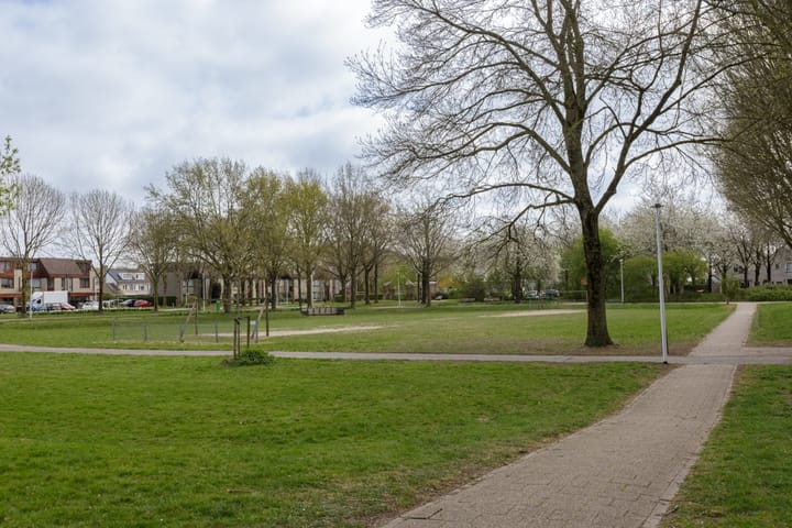 Foto 41 van Meercamp 51