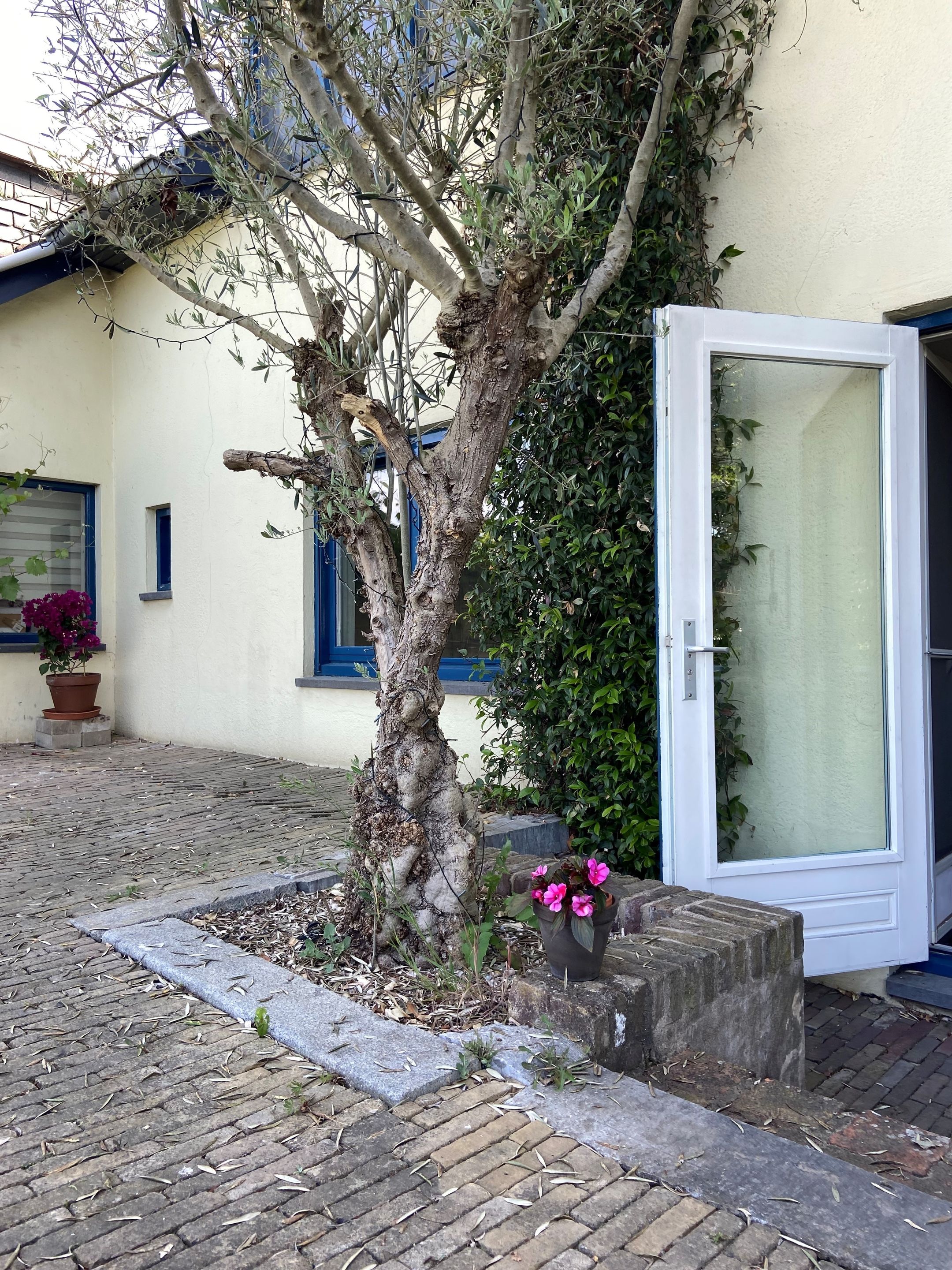 Foto 33 van Visserweert 39-A