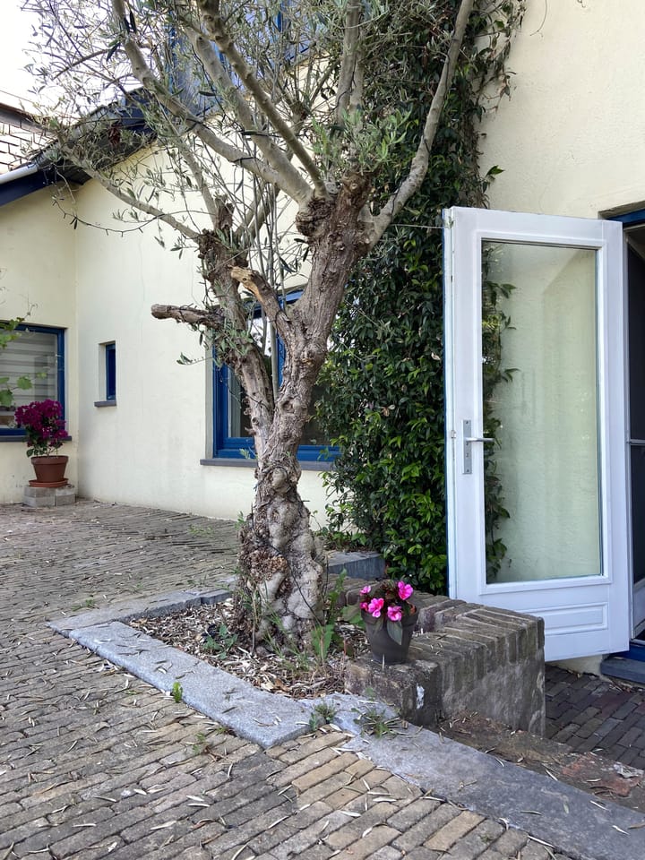 Foto 33 van Visserweert 39-A