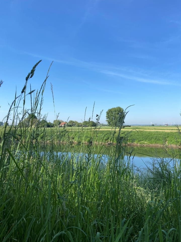 Foto 38 van Visserweert 39-A