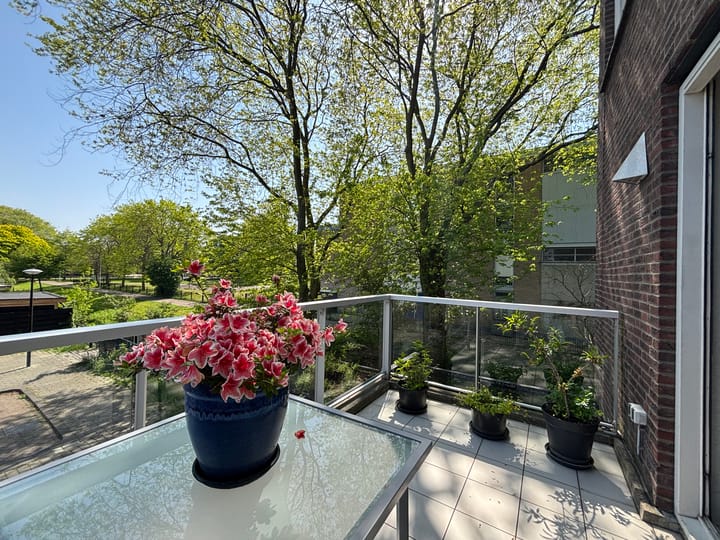 Foto 23 van Borgerstraat 77