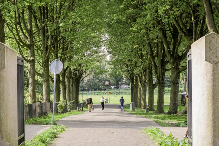 Foto 38 van Lumeijstraat 50-2