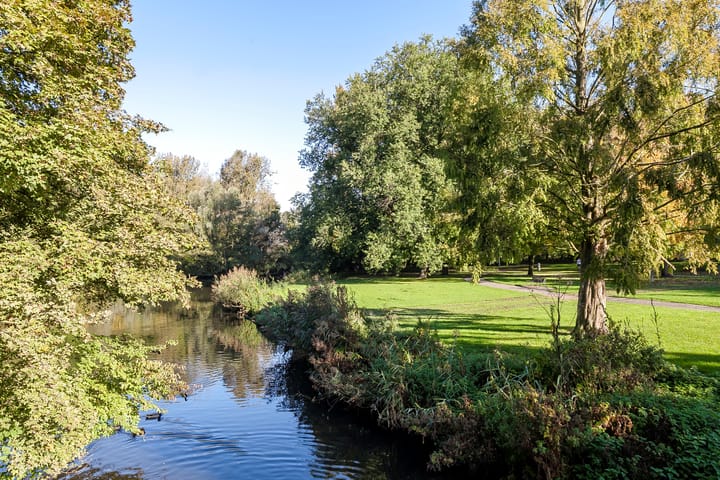 Foto 39 van Lumeijstraat 50-2