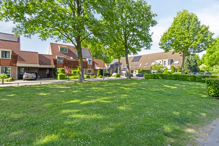 Foto 3 van Koolzaadveld 2