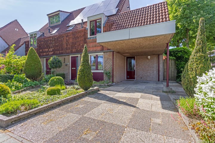 Foto 4 van Koolzaadveld 2