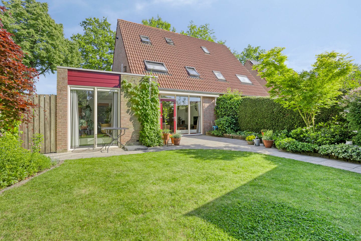 Foto 29 van Koolzaadveld 2