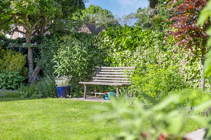 Photo 34 of Koolzaadveld 2