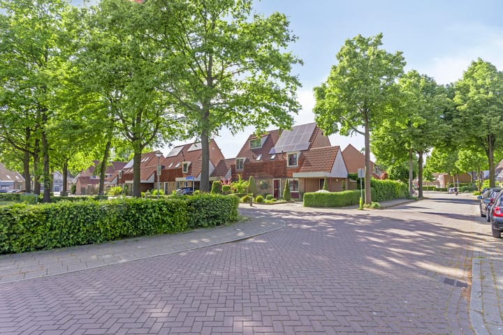 Photo 37 of Koolzaadveld 2