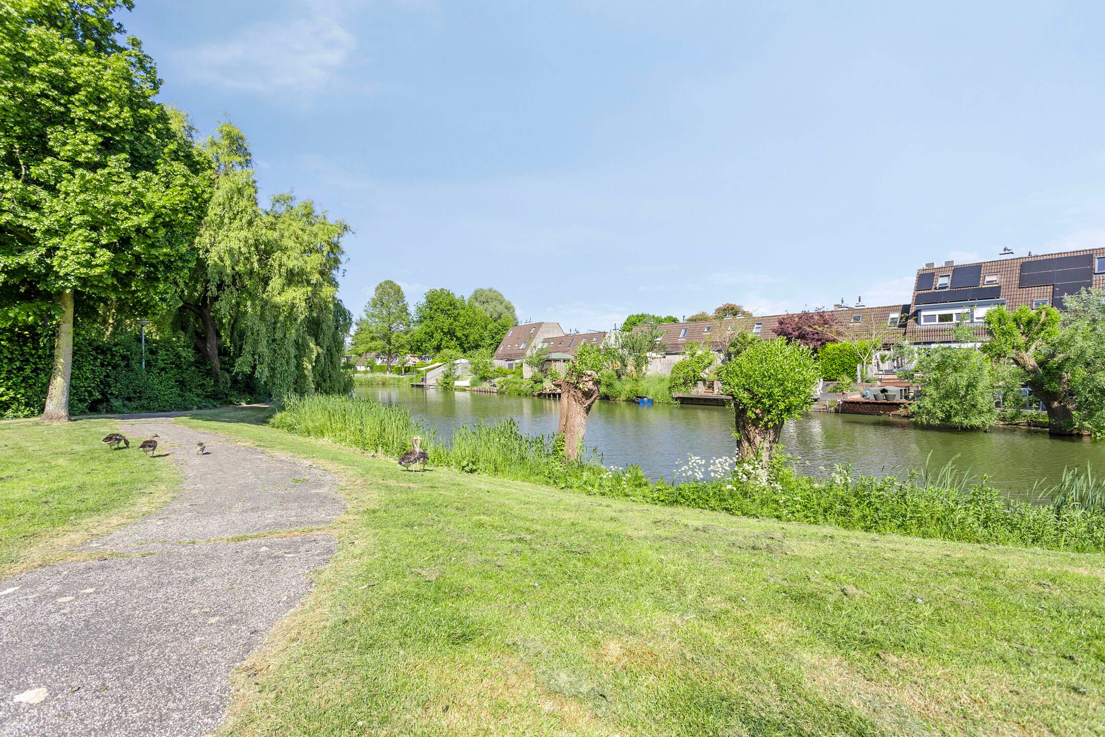 Foto 39 van Koolzaadveld 2