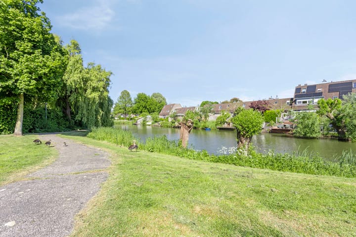 Photo 39 of Koolzaadveld 2