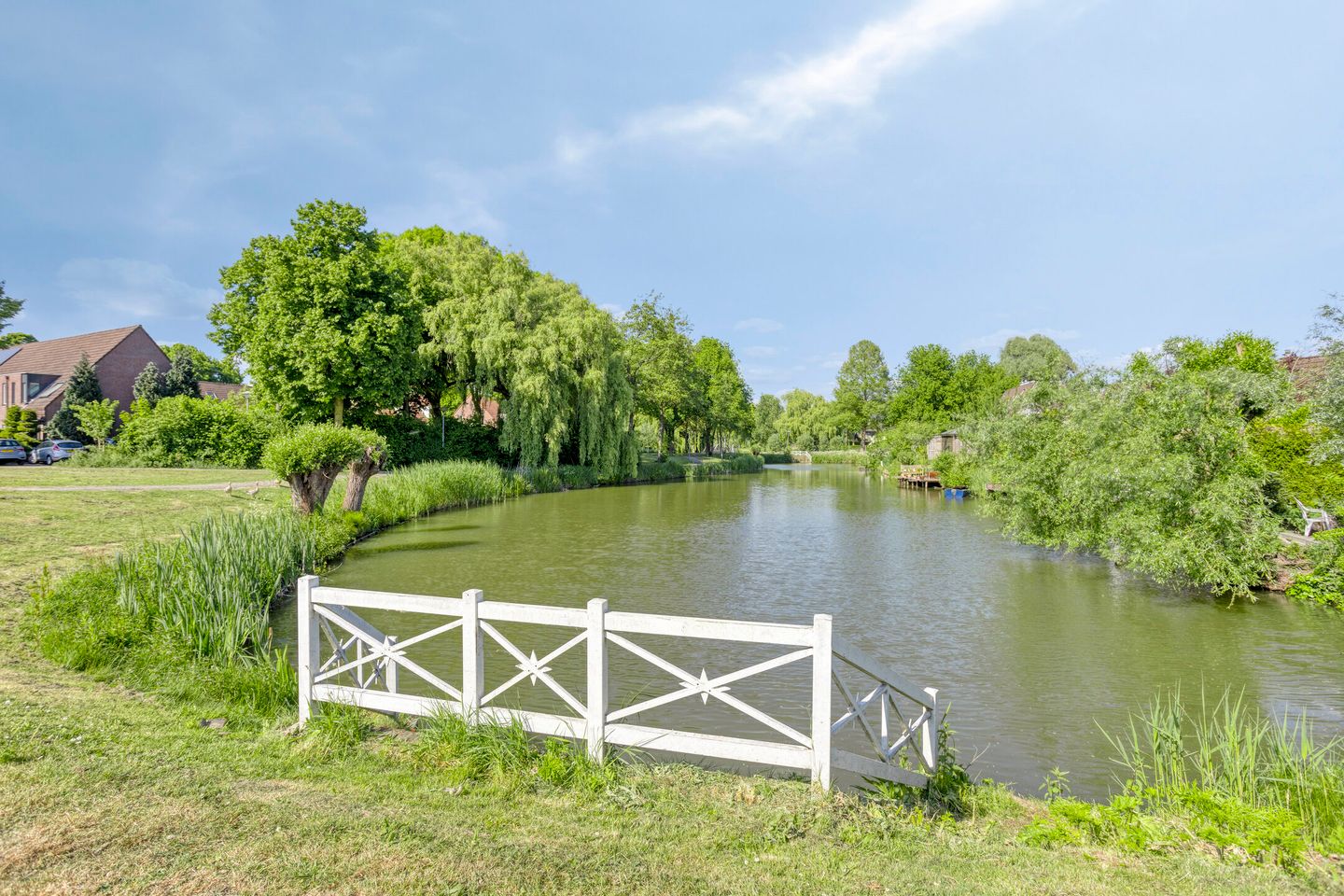 Foto 40 van Koolzaadveld 2