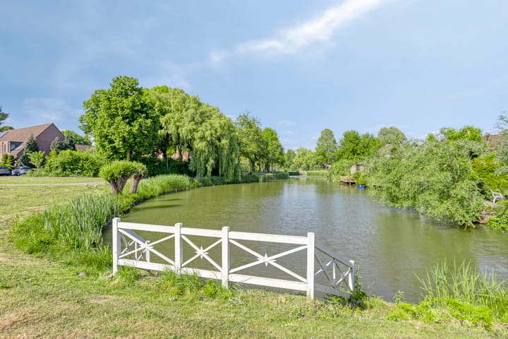 Photo 40 of Koolzaadveld 2