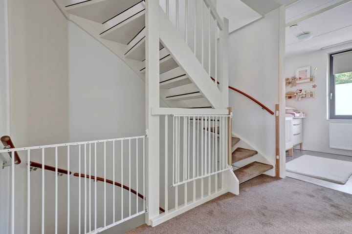 Foto 21 van Biezenstraat 184