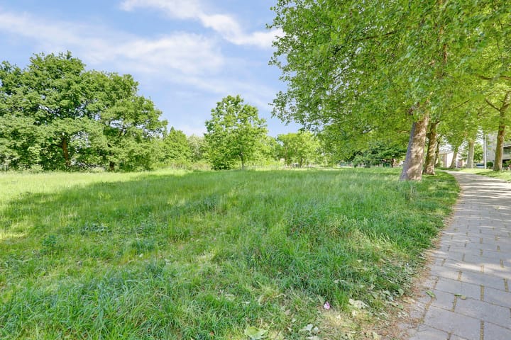 Foto 40 van Biezenstraat 184