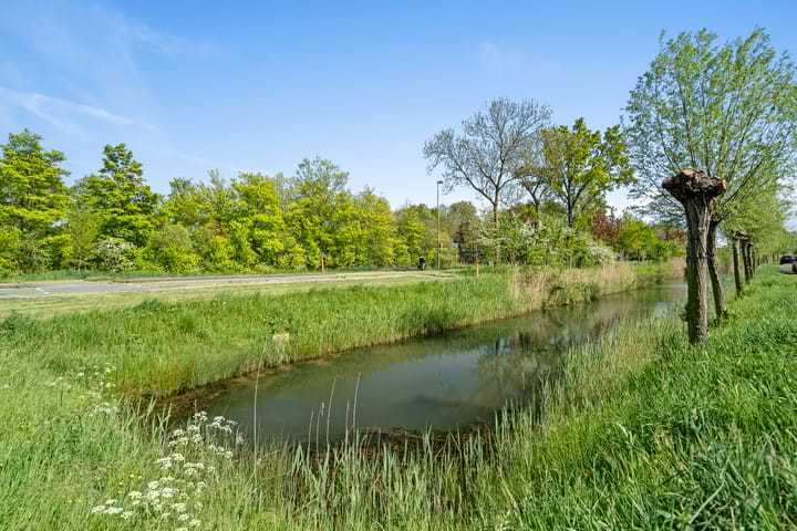 Foto 51 van Kolland 19