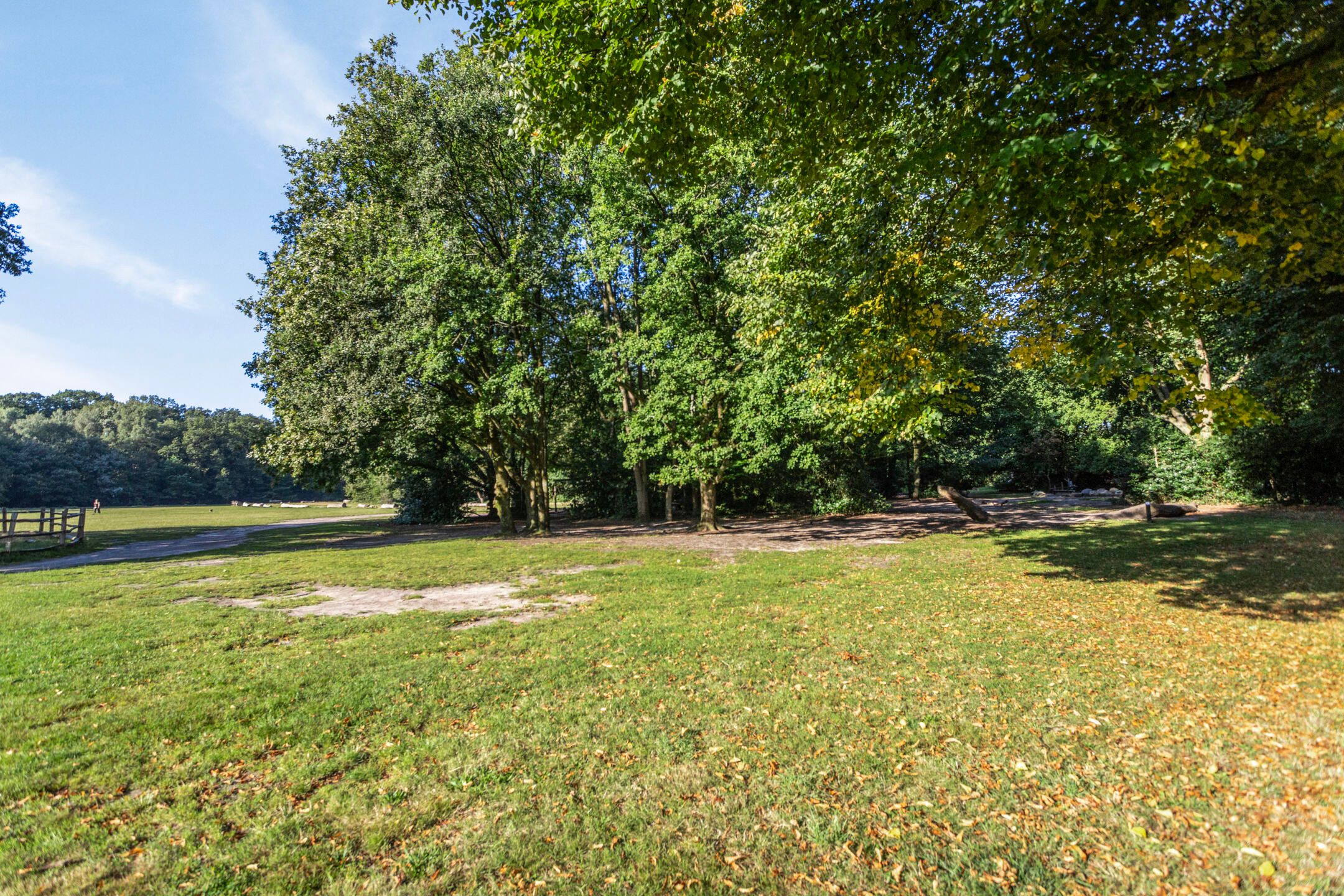 Foto 21 van Kappeyne van de Coppellolaan 52-B