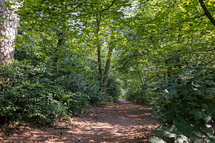 Foto 23 van Kappeyne van de Coppellolaan 52-B