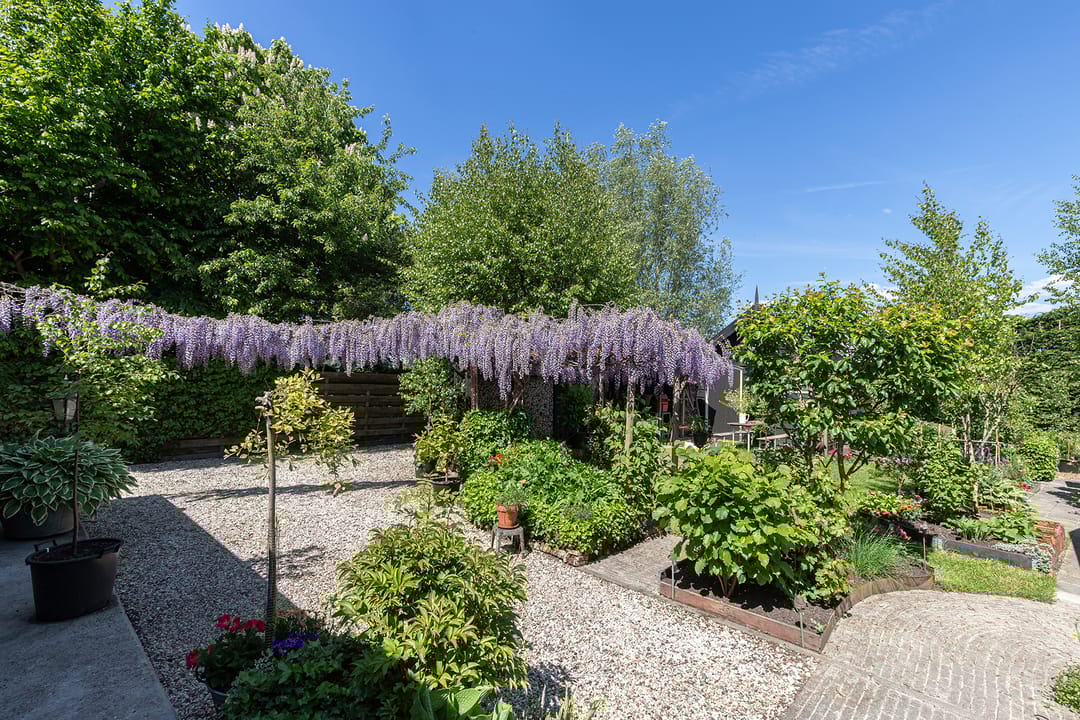 Photo 67 of Westeinde 8