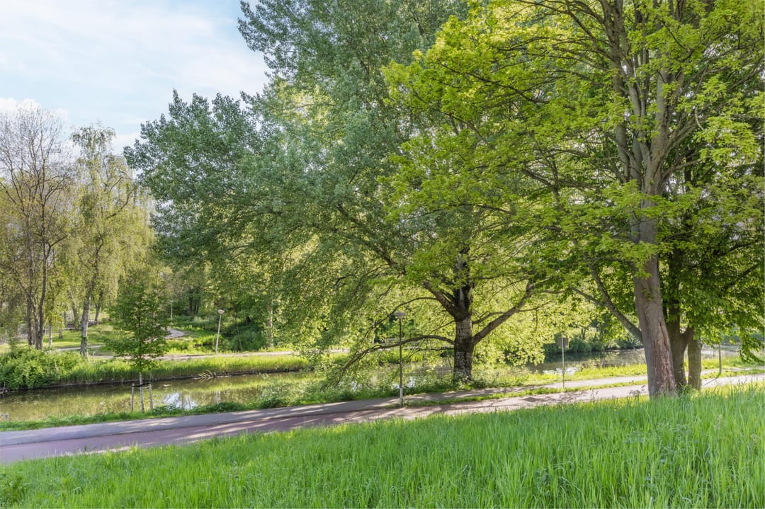 Foto 37 van IJdoornlaan 1491-G