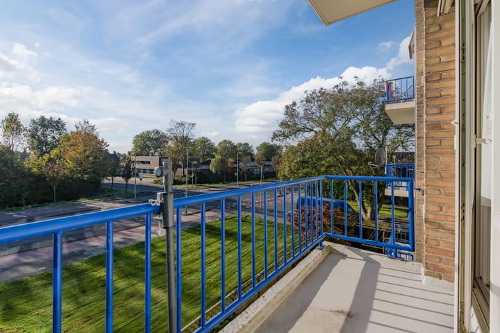 Foto 17 van De Reiger 239