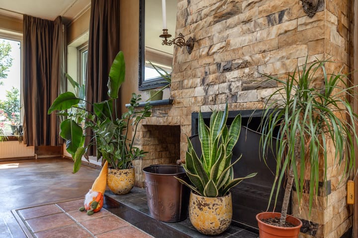 Foto 10 van Elbaweg 8