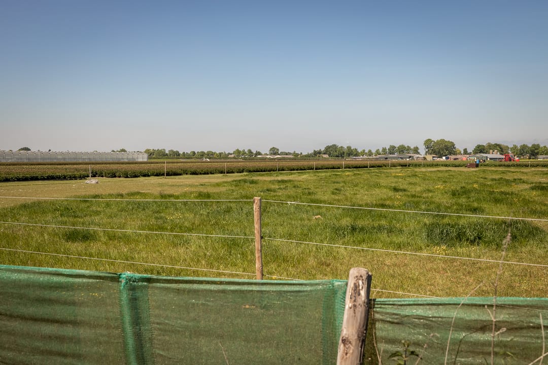 Foto 37 van Elbaweg 8