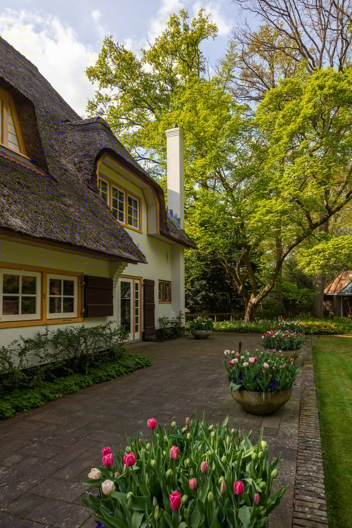 Foto 57 van Elfuursweg 5