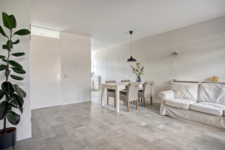 Foto 10 van Sterappel 7