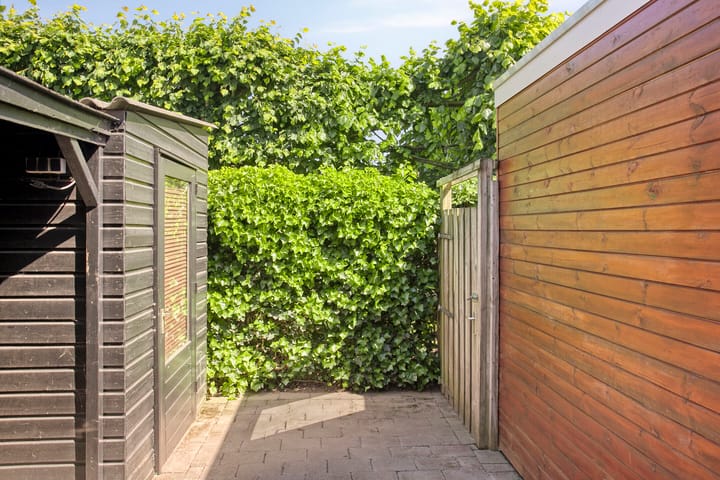 Foto 33 van Sterappel 7