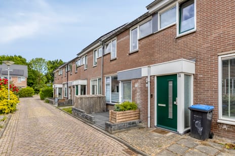 undefined main image