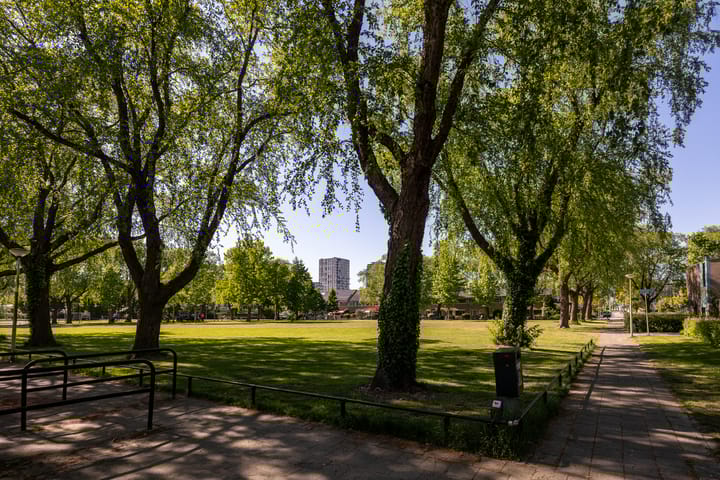 Foto 43 van Pelléaspad 1