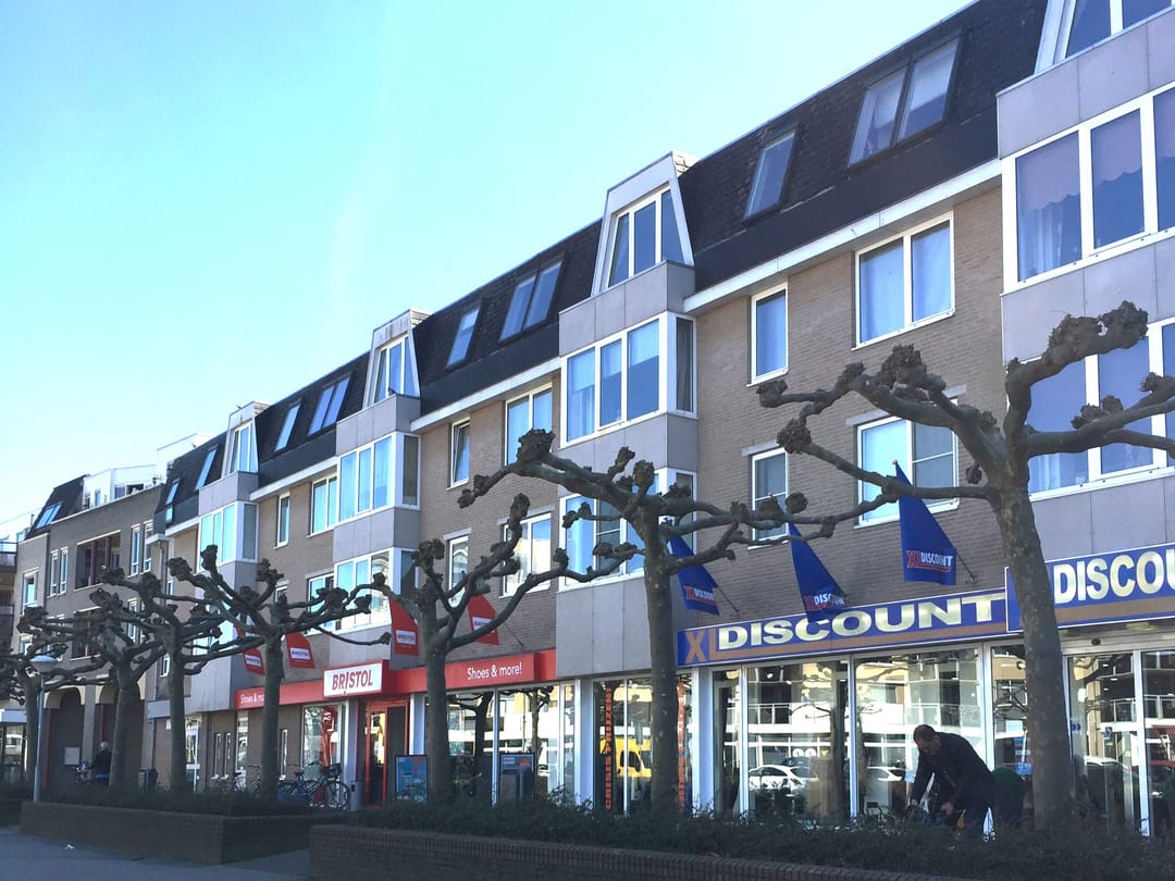 Foto 1 van Mondriaanplein 45