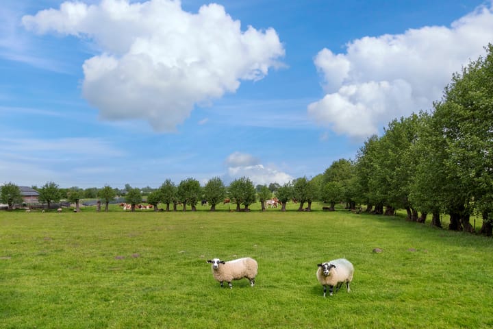 Foto 3 van Schoolweg 44